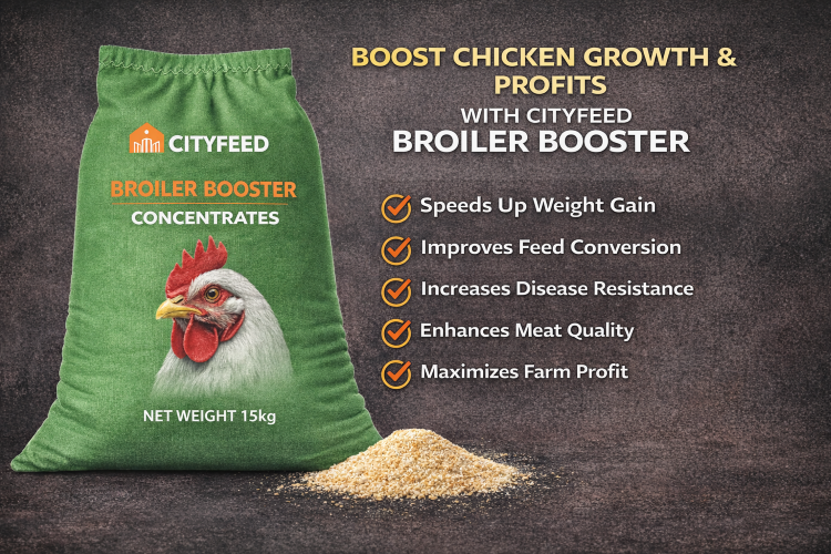 ./Broiler_Booster_Concentrates_by_CityFeed_1775220155570