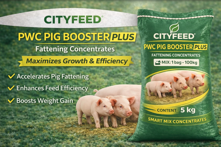 ./ChatGPT_Image_Mar_28__2026__09_01_19_AM_1774685117117