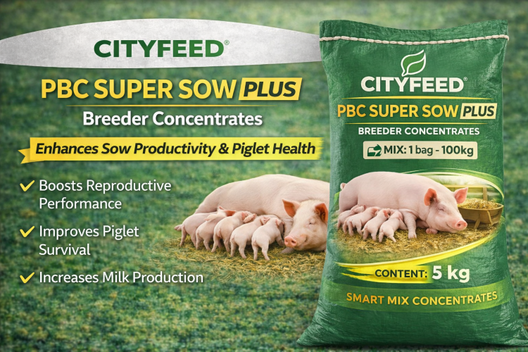 ./ChatGPT_Image_Mar_28__2026__09_03_44_AM_1774685143310