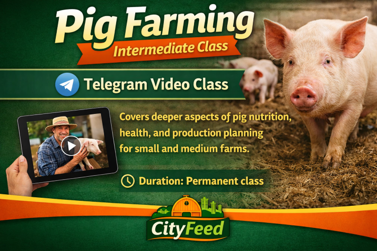 ./ChatGPT_Image_Mar_31__2026__02_41_10_AM_1774923836836