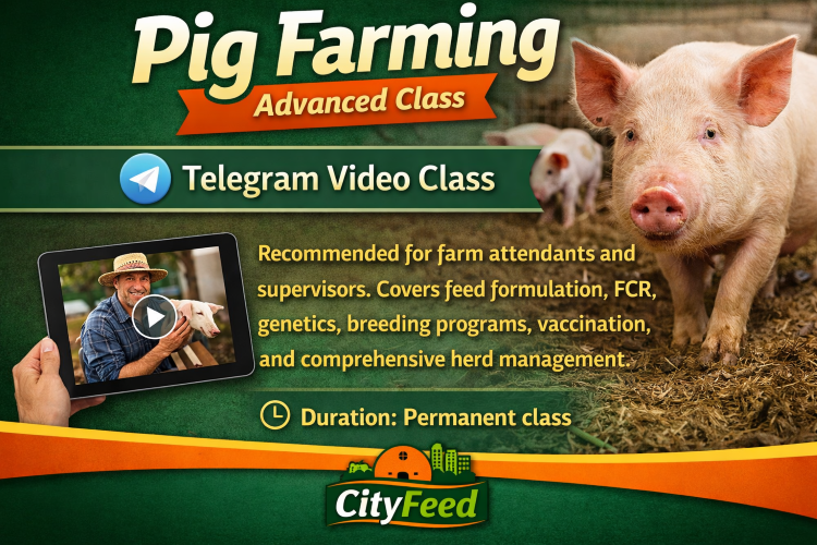 ./ChatGPT_Image_Mar_31__2026__02_43_34_AM_1774922408620