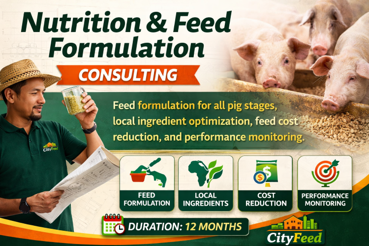 ./ChatGPT_Image_Mar_31__2026__02_47_48_AM_1774922768691