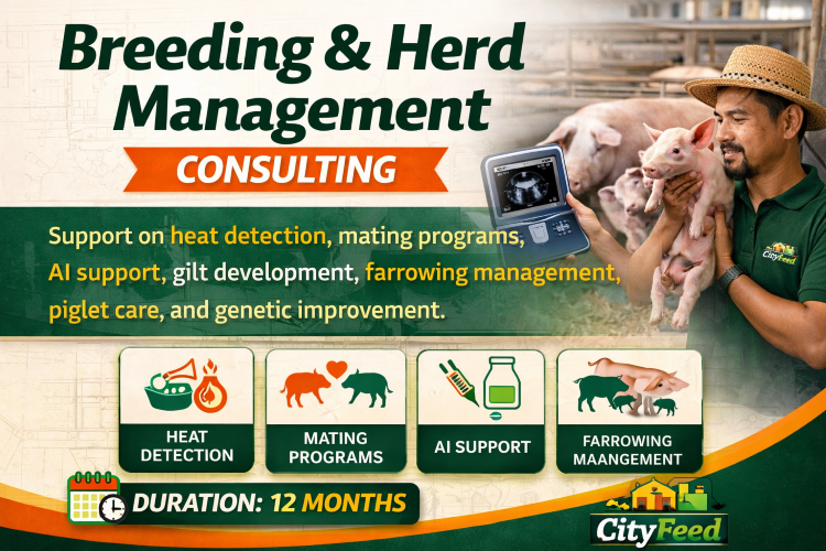 ./ChatGPT_Image_Mar_31__2026__02_50_05_AM_1774922593614