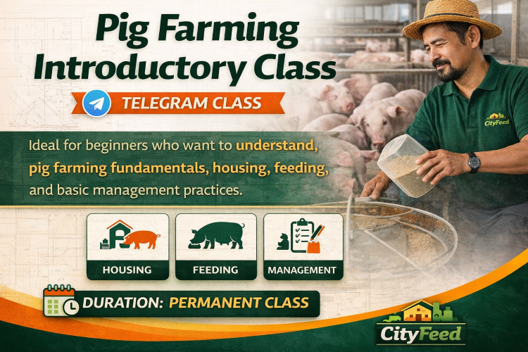 ./ChatGPT_Image_Mar_31__2026__03_13_23_AM_1774923247144