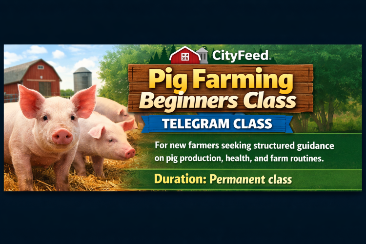 ./ChatGPT_Image_Mar_31__2026__03_19_44_AM_1774923634352