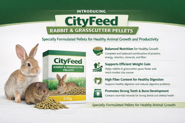 ./Rabbit_Pellets_by_CityFeed_1775220651942