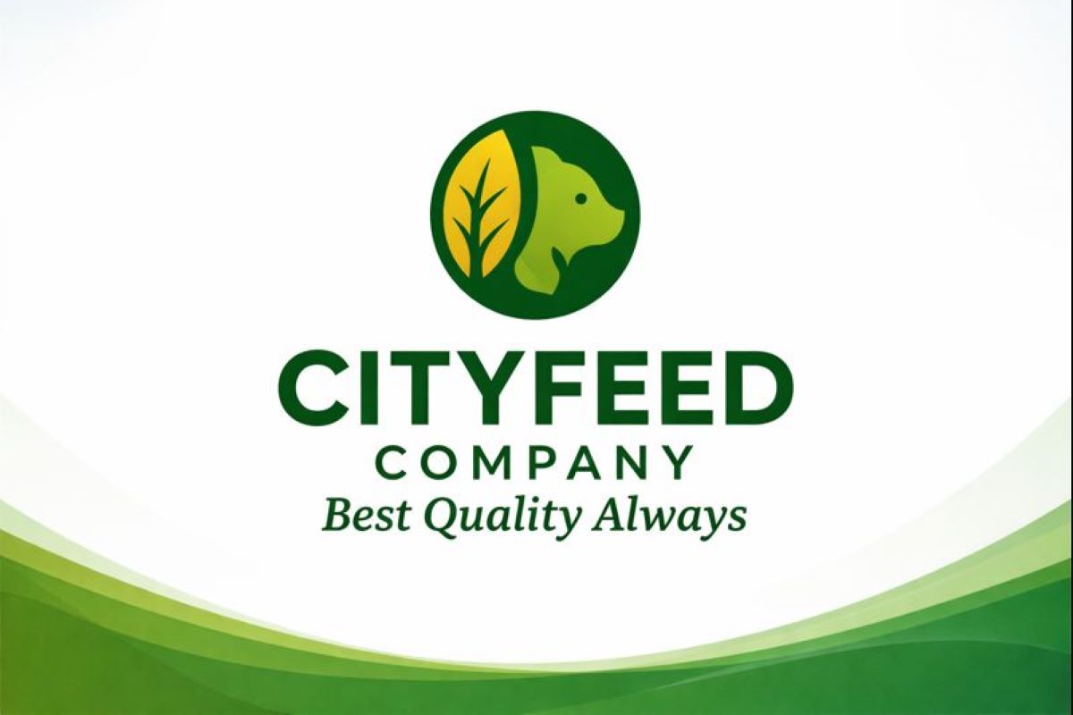 CityFeed banner 6
